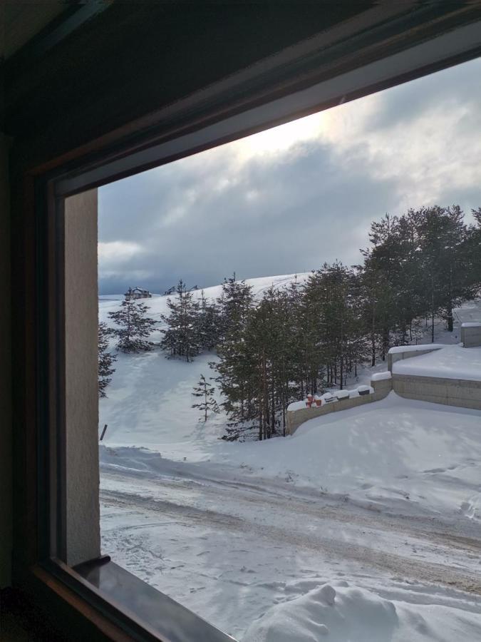 Apartman Nimfa Zlatibor Dış mekan fotoğraf
